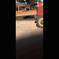GIF by FiXX