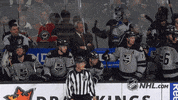 Ice Hockey GIF by NHL