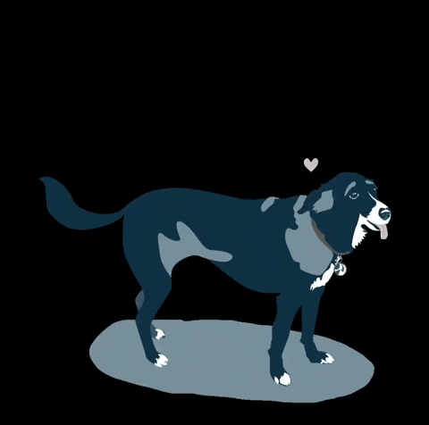 empressavenuemedia aixa cowichanvalley empressavenuemedia empressavenue GIF