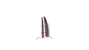 Burj Khalifa Travel Sticker by heaven_lights