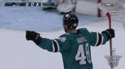 ice hockey sport GIF by NHL