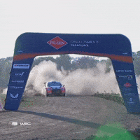 Wrc GIF by FIA World Rally Championship