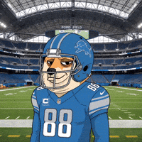 Detroit Lions Football GIF by Doge Pound