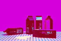 Spiltmilkeyewear spiltmilkeyewear spiltmilk eyewear fashion GIF
