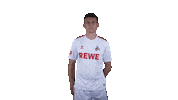 1 Fc Cologne Football Sticker by 1. FC Köln