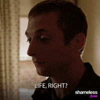 season 9 life right GIF by Shameless