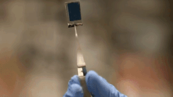 technology energy GIF by Harvard University
