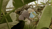 Plants Dinosaurs GIF by Dino Dana