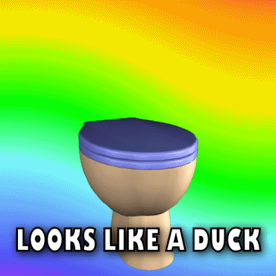 What Is It Duck GIF