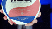 Gocougs Ncaavolleyball GIF by BYU Cougars