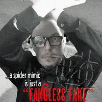 Art Spiders GIF by NACHTSCHIMMEN Music-Theatre-Language NIGHTSHADES