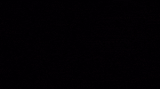 Takla GIF