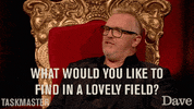 Taskmaster GIF by UKTV