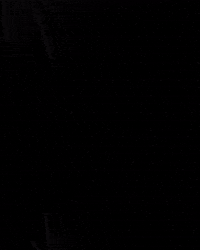 Teamnlshorttrack GIF by Shapevisions