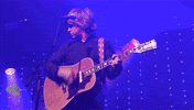 Wilcoworld wilco GIF