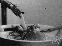 black and white vintage GIF by Okkult Motion Pictures