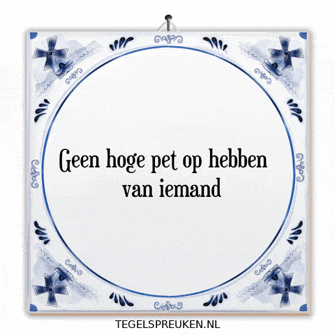 Humor Nl GIF by Tegelspreuken.nl