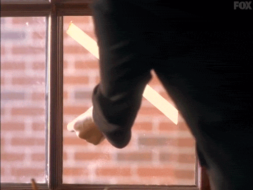 x files GIF by The X-Files