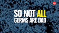 Not all germs are bad