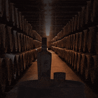 Rsbs GIF by The Whiskypedia