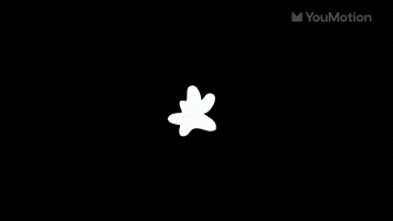 Dynamic Liquid Transitions Pack