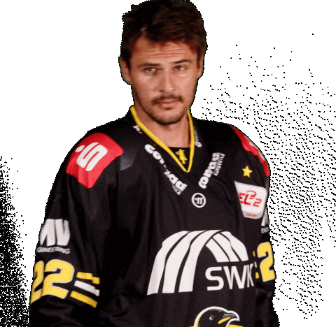 Del2 Seidenstadt Sticker by Krefeld Pinguine