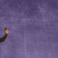 Kdub GIF by KWC Panthers