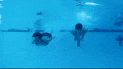 Pool Swimming GIF by Aristotle and Dante Universe