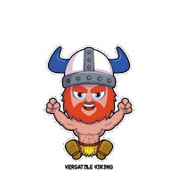 Orange Vikings Sticker by VeeFriends