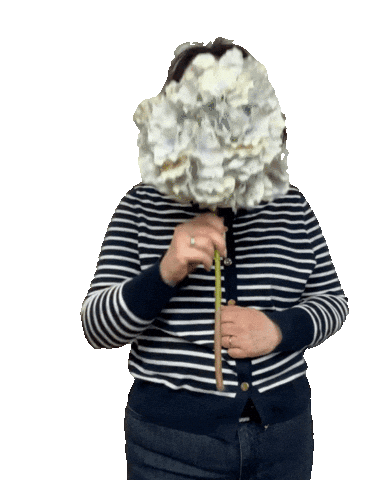 Verstecken Sticker by scheuernstuhl