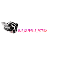 je_sappelle_patrick dog patrick boston jesappellepatrick Sticker
