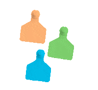 Pig Sheep Sticker by datamarslivestock