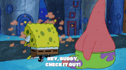 season 9 episode 10 GIF by SpongeBob SquarePants