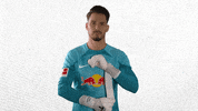 Football Sport GIF by RB Leipzig