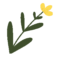 Flower Spring Sticker