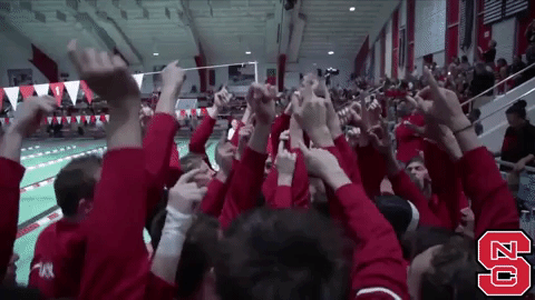 nc state team GIF by NC State Athletics