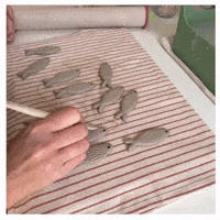 Fish Clay GIF by Naive