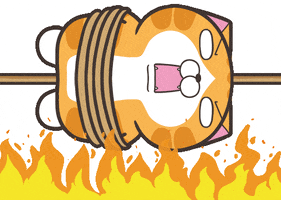 Cat Fun GIF by MochiDad