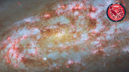 Stars Sparkling GIF by ESA/Hubble Space Telescope