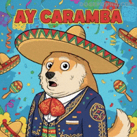 Oh No Omg GIF by Doge Pound