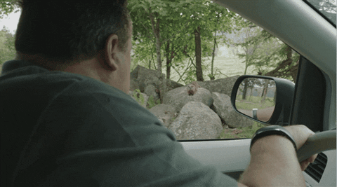 the nations canada GIF by CBC