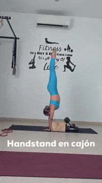Yoga Handstand GIF by Home and Gym