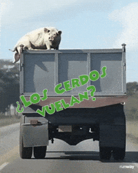 Cannabis Bilbo GIF by genehtik