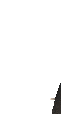 Hockey Hoofdklasse Sticker by HCTILBURG