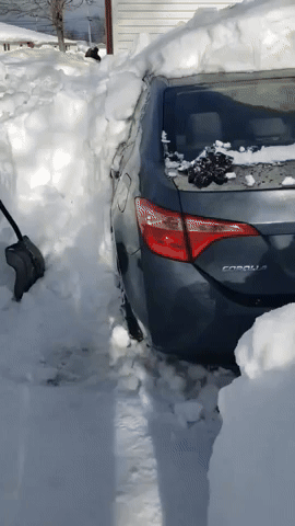 Man Struggles With Epic Shovel Job After Huge Snow Dump