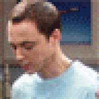 gifs for ants GIF