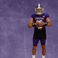 Football Wesleyan GIF by KWC Panthers