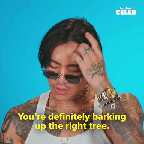 Barking up the right tree