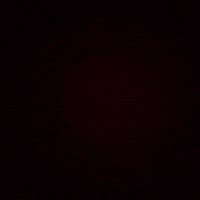 Netflix Art GIF by STAZR