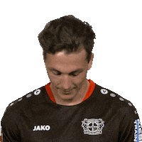 Bayer 04 Hello Sticker by Bundesliga